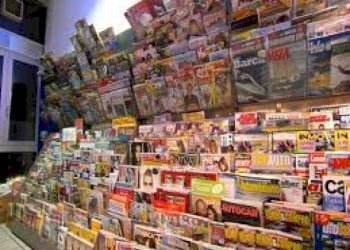 500_398580_1298621923.jpg - Edicole - Edicole con Chiosco Corte Compagni, Lucca - foto 9