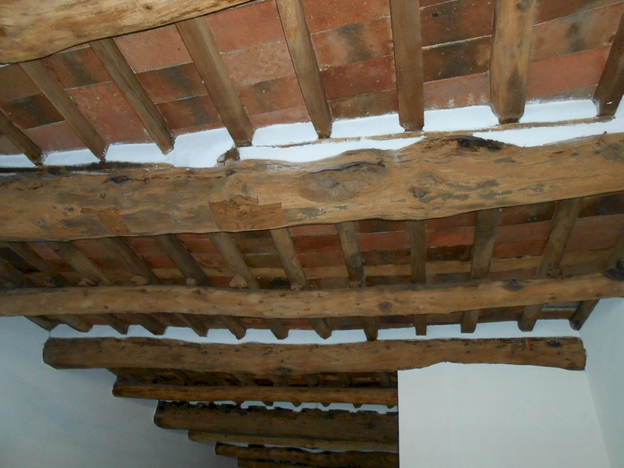 DSCN0085.JPG - Locale Commerciale Viale G. Puccini, Lucca - foto 3