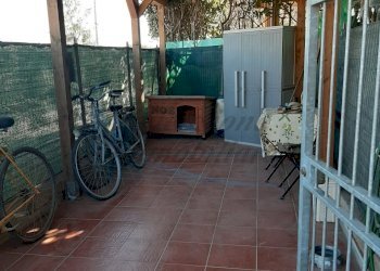 Resede con loggiato.jpg - Trilocale Via Palazzeta  1, Rosignano Marittimo - foto 15