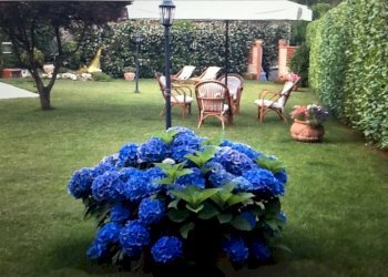 Villa a Schiera Nole - foto 18