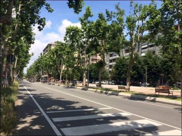 viale - Locale Commerciale Viale Giovanni XXIII 5, Beinasco - foto 2