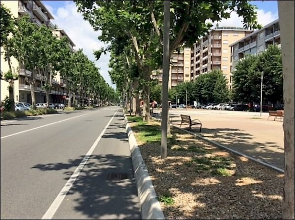 . - Locale Commerciale Viale Giovanni XXIII 5, Beinasco - foto 3