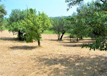 100_2643.JPG - Terreno edificabile contrada puglianna, Treglio - foto 1