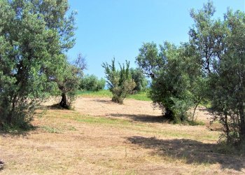 100_2598.JPG - Terreno edificabile contrada puglianna, Treglio - foto 2