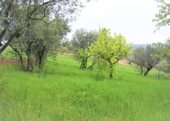100_0347.JPG - Terreno edificabile contrada puglianna, Treglio - foto 6