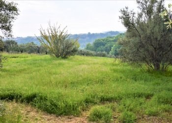 DSC_0481.JPG - Terreno edificabile contrada puglianna, Treglio - foto 8
