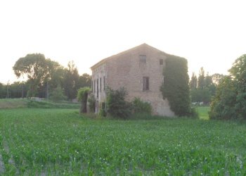 Independent house Via Della Ginestra, Ferrara - photo 17