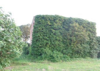 Independent house Via Della Ginestra, Ferrara - photo 18