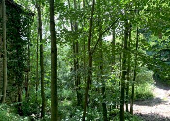 Independent house Borgata Chiot, Melle - photo 16