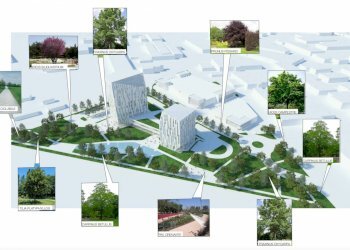 Terreno edificabile via Bruno Camellini, Zola Predosa - foto 16