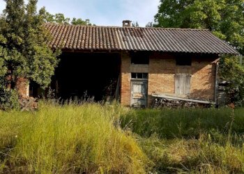 Rustico Montiglio Monferrato - foto 6