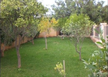 CIMG7876.JPG - Villa Scicli - foto 5