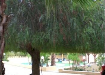 CIMG7933.JPG - Villa Scicli - foto 12