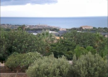 CIMG7915.JPG - Villa Scicli - foto 30