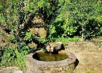 ca8.jpg - Casale Castelnuovo Magra - foto 10