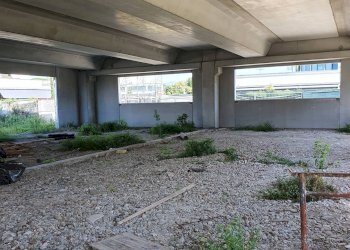 Attività Commerciale Via Romana, Lucca (zona San Filippo) - foto 1