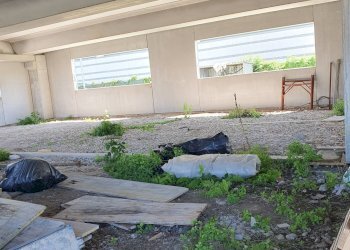 Attività Commerciale Via Romana, Lucca (zona San Filippo) - foto 3