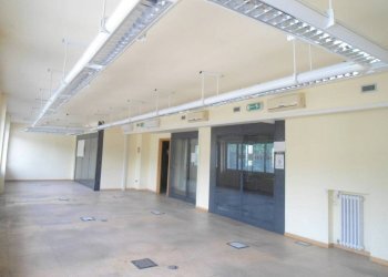 SALONE - Ufficio via Angelo Finelli, Bologna (zona Irnerio) - foto 15