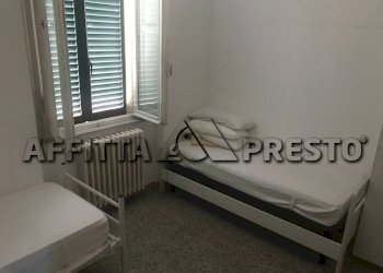 Trilocale Collesalvetti - foto 8