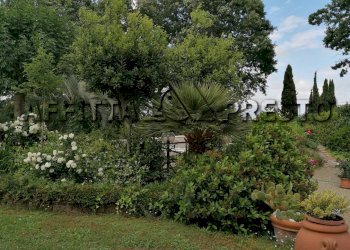 Porzione di casa Fauglia - foto 8