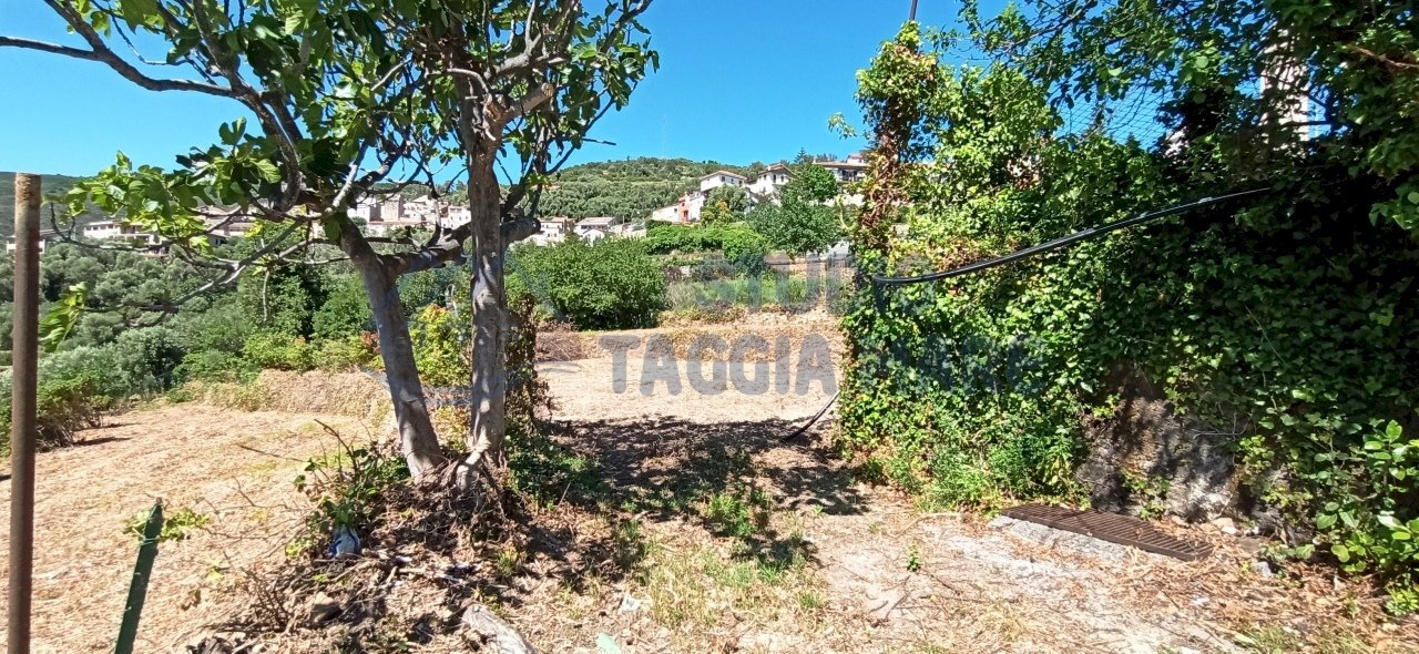 IMG_20200504_151248.jpg - Terreno agricolo Via Mazzini, Pompeiana - foto 1