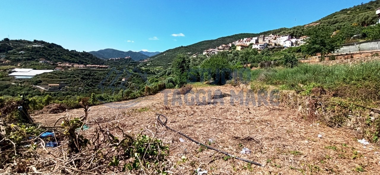 IMG_20200504_151219.jpg - Terreno agricolo Via Mazzini, Pompeiana - foto 2