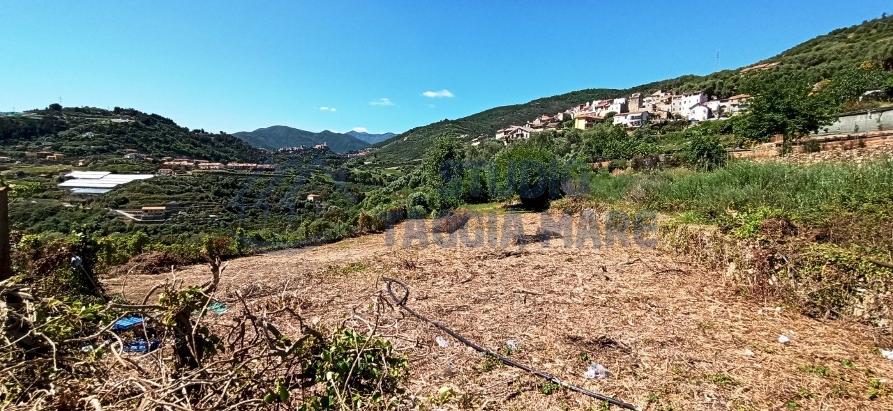 IMG_20200504_151224.jpg - Terreno agricolo Via Mazzini, Pompeiana - foto 3