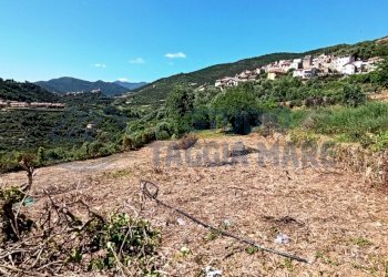 IMG_20200504_151219.jpg - Terreno agricolo Via Mazzini, Pompeiana - foto 2