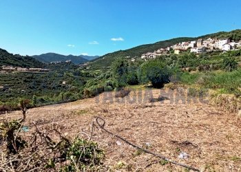 IMG_20200504_151224.jpg - Terreno agricolo Via Mazzini, Pompeiana - foto 3