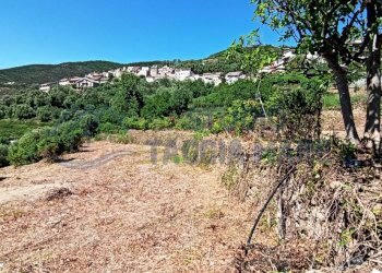 IMG_20200504_151253.jpg - Terreno agricolo Via Mazzini, Pompeiana - foto 4
