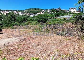 IMG_20200504_151301.jpg - Terreno agricolo Via Mazzini, Pompeiana - foto 5