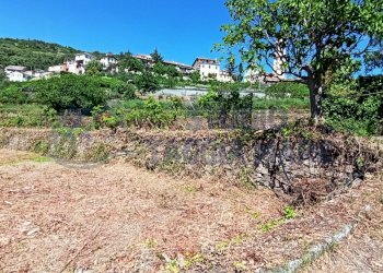 IMG_20200504_151302.jpg - Terreno agricolo Via Mazzini, Pompeiana - foto 6