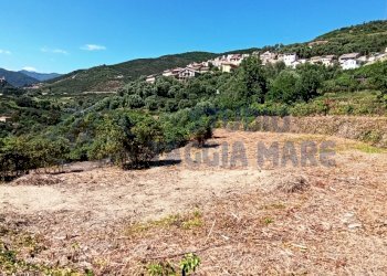 IMG_20200504_151306.jpg - Terreno agricolo Via Mazzini, Pompeiana - foto 7