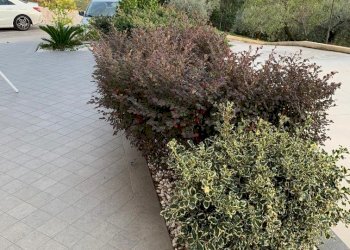 Villa Unifamiliare Via Colle Pelero, Veroli - foto 10