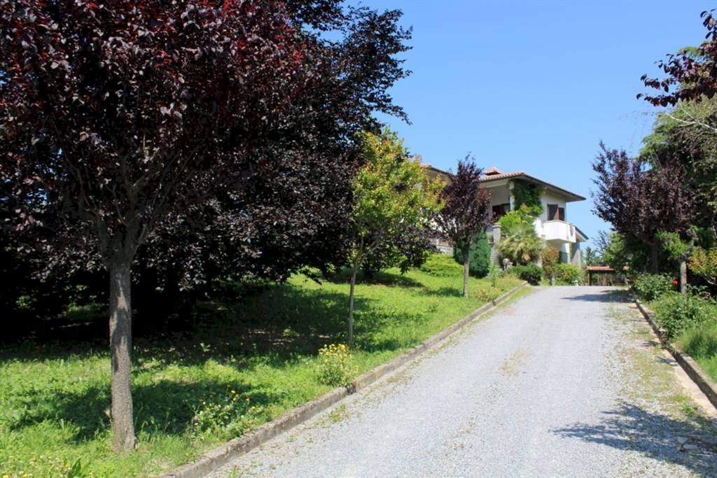 Villa Alba - photo 2