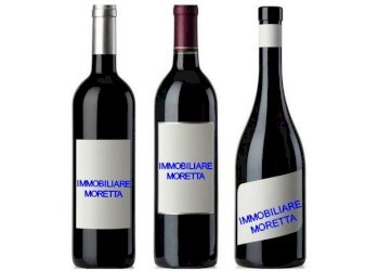 Attività Commerciale Alba - foto 1