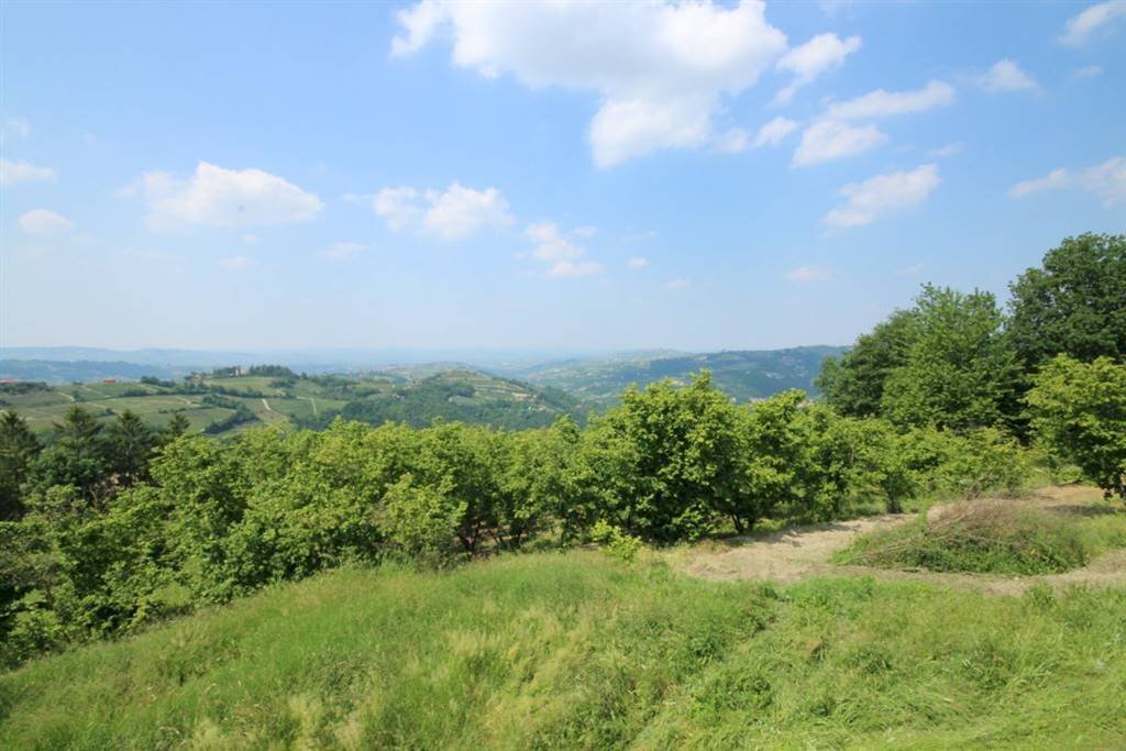 Casa indipendente Roddino - foto 1