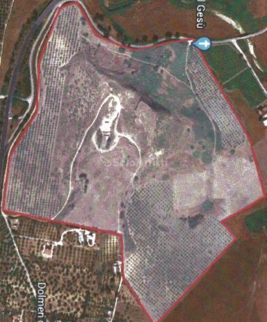 terreno in affitto.PNG - Terreno agricolo Sciacca - foto 1