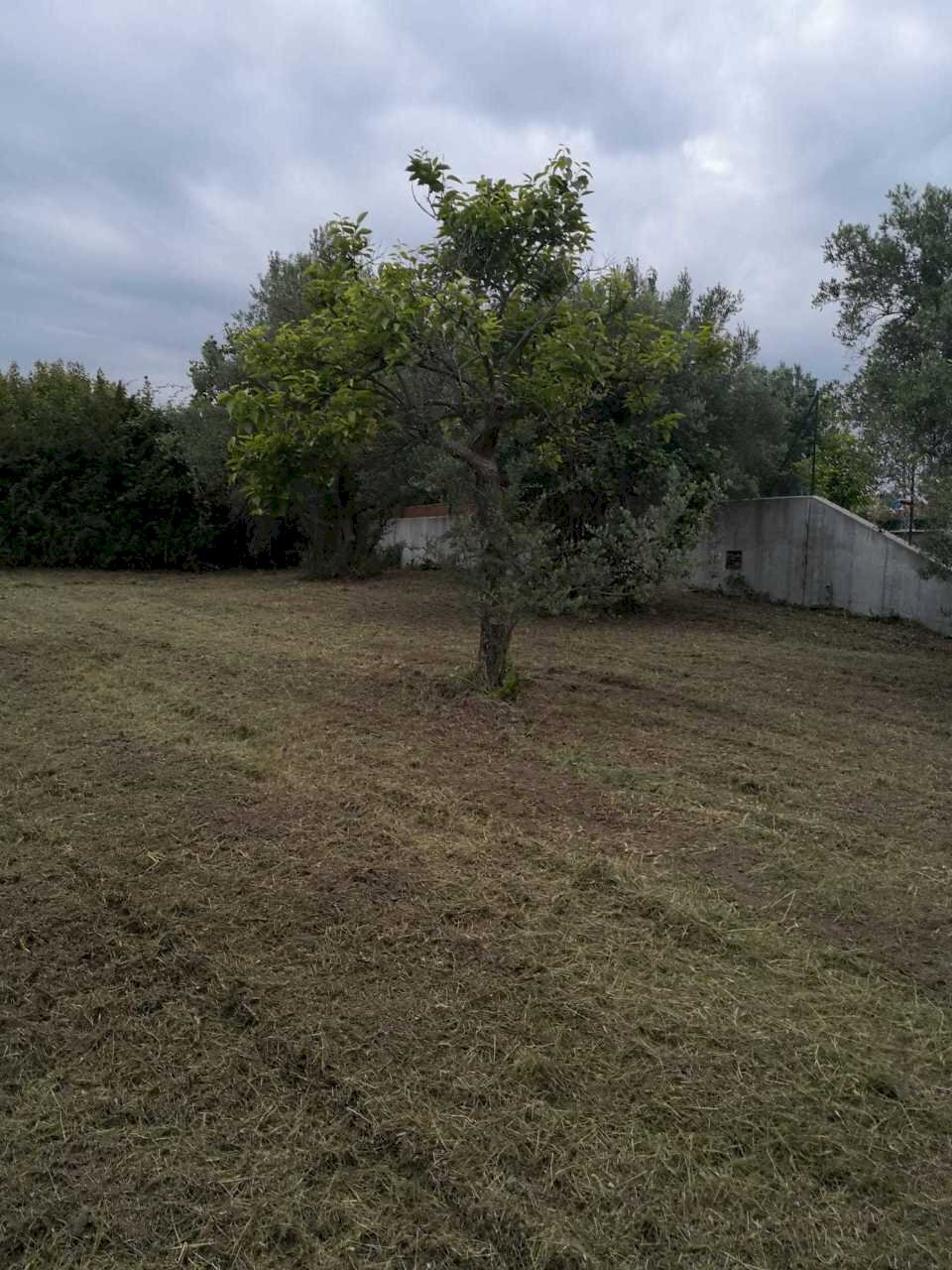 IMG-20200611-WA0005.jpg - Terreno edificabile Via Puglianna, Treglio - foto 3