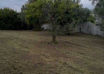 IMG-20200611-WA0005.jpg - Terreno edificabile Via Puglianna, Treglio - foto 3