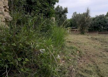 IMG-20200611-WA0006.jpg - Terreno edificabile Via Puglianna, Treglio - foto 4