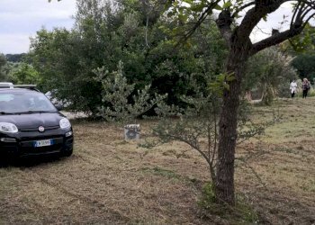 IMG-20200611-WA0010.jpg - Terreno edificabile Via Puglianna, Treglio - foto 8