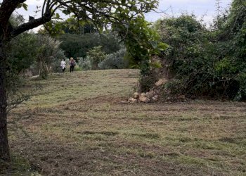 IMG-20200611-WA0012.jpg - Terreno edificabile Via Puglianna, Treglio - foto 10