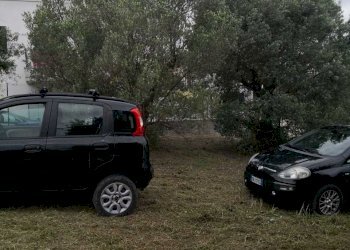 IMG-20200611-WA0013.jpg - Terreno edificabile Via Puglianna, Treglio - foto 11