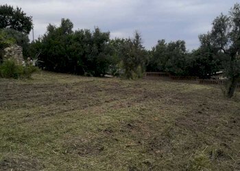 IMG-20200611-WA0015.jpg - Terreno edificabile Via Puglianna, Treglio - foto 12