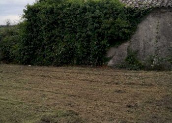 IMG-20200611-WA0014.jpg - Terreno edificabile Via Puglianna, Treglio - foto 13