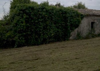 IMG-20200611-WA0017.jpg - Terreno edificabile Via Puglianna, Treglio - foto 15