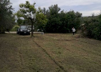 IMG-20200611-WA0019.jpg - Terreno edificabile Via Puglianna, Treglio - foto 17