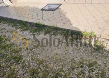 corte esterna - Appartamento Via Emilia per Forlí 1421, Forlimpopoli - foto 19