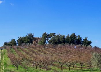 Rustico Appignano del Tronto - foto 2